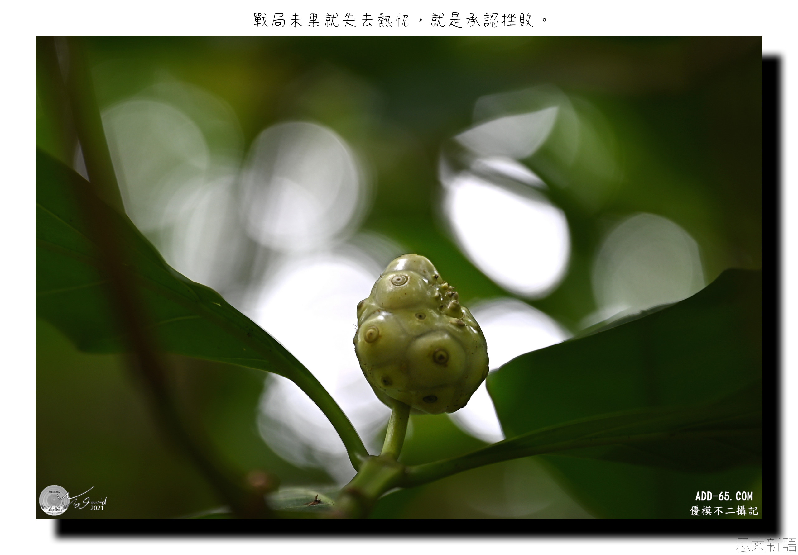 戰局