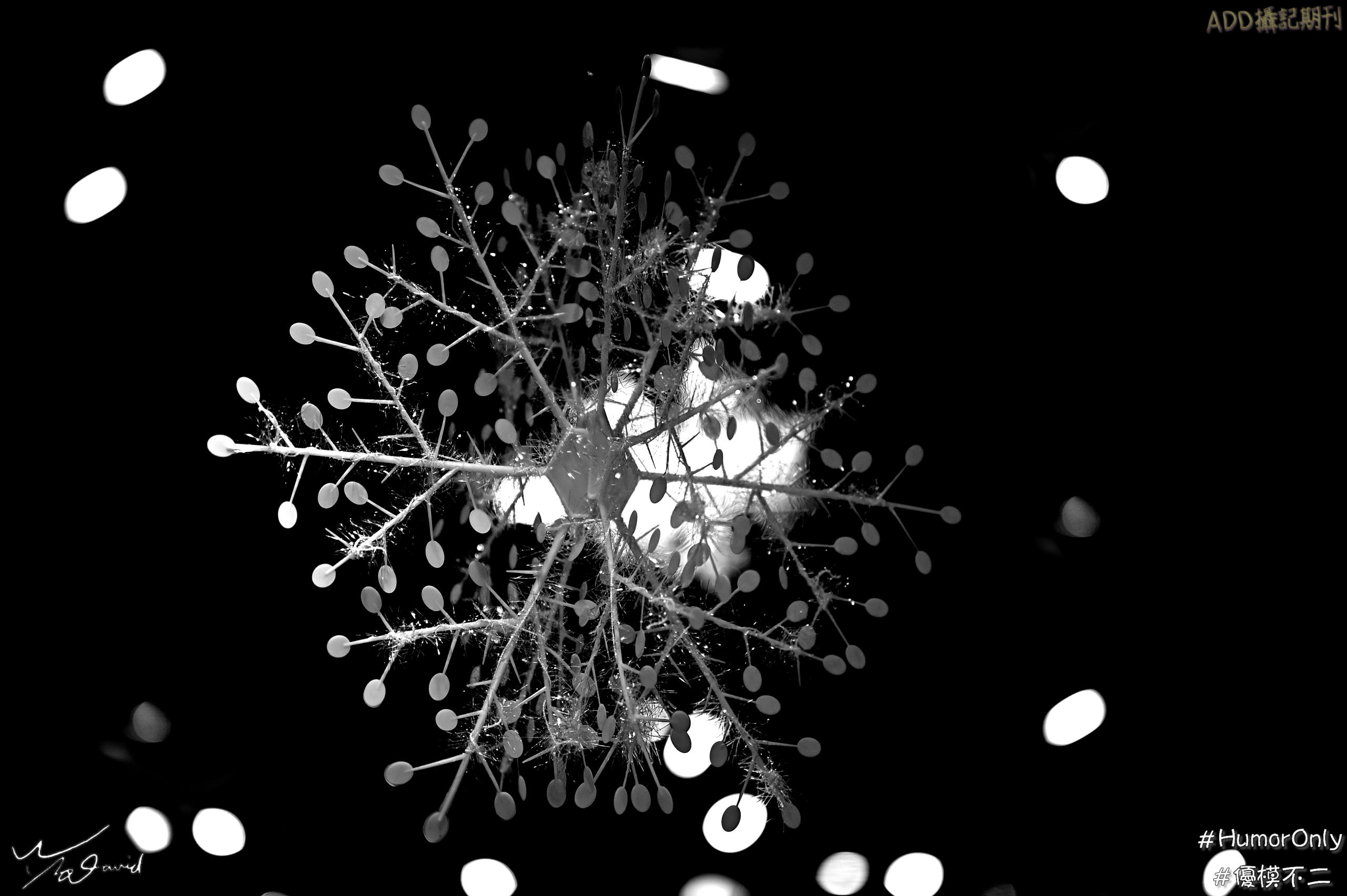 E_20201226_223434_DSC_9507