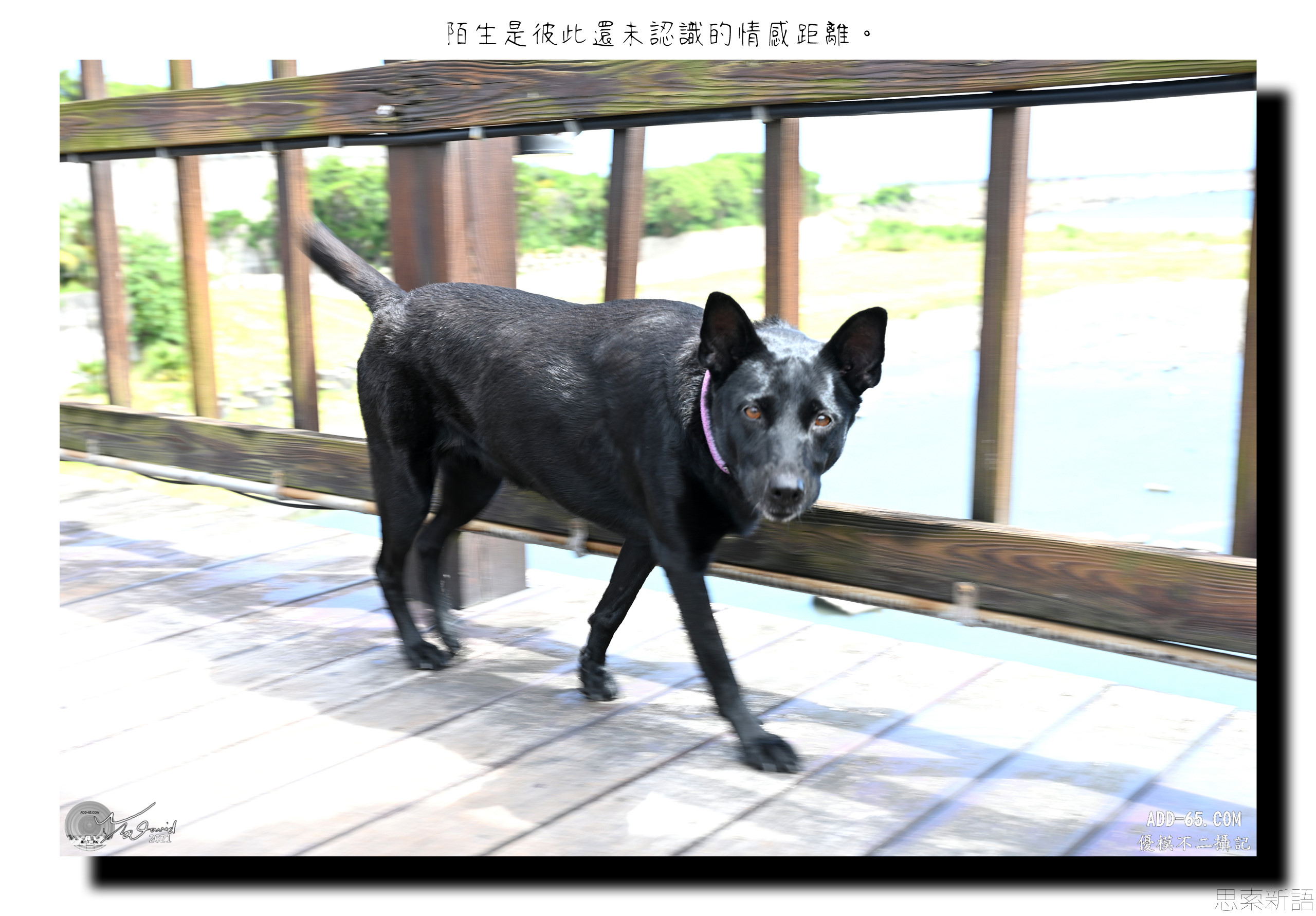 陌生的情感