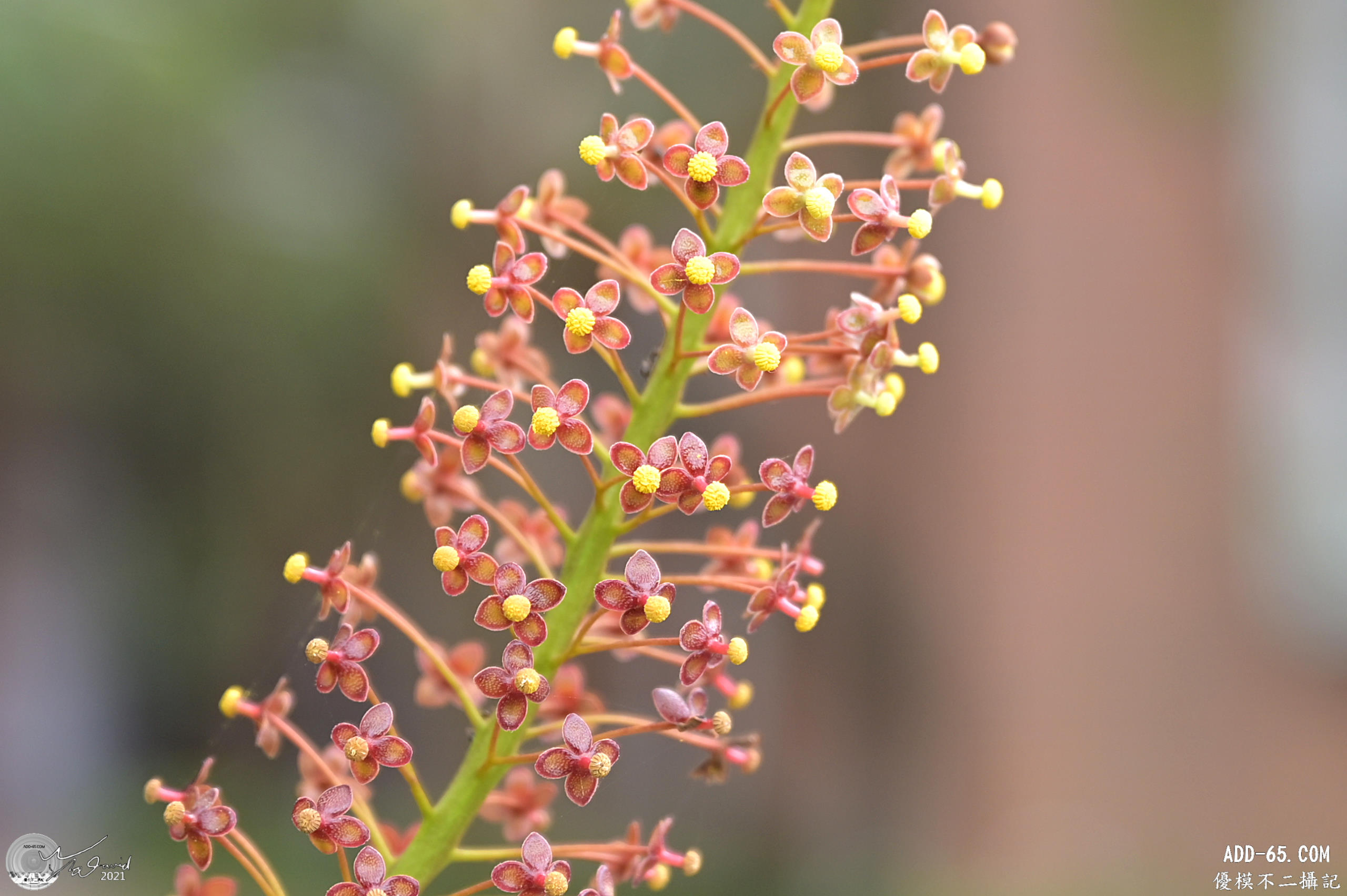 E_20220107_232239_DSC_1648