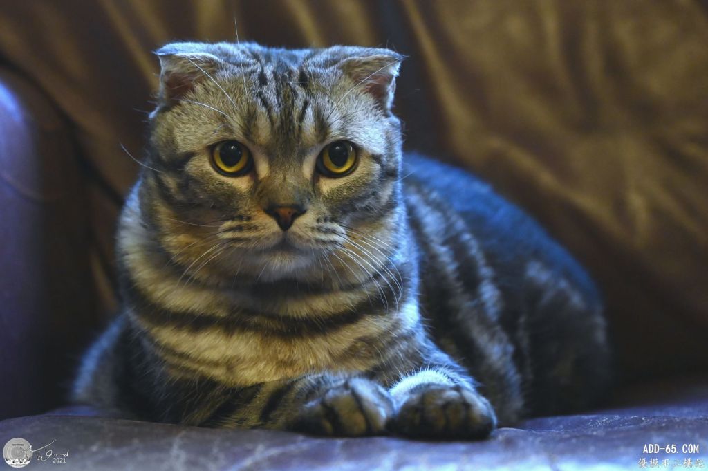 從靠近自己開始