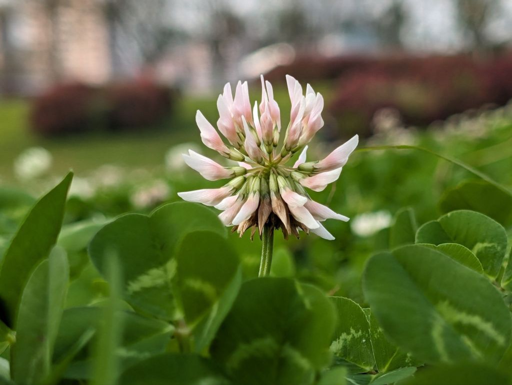 信心與細胞更新