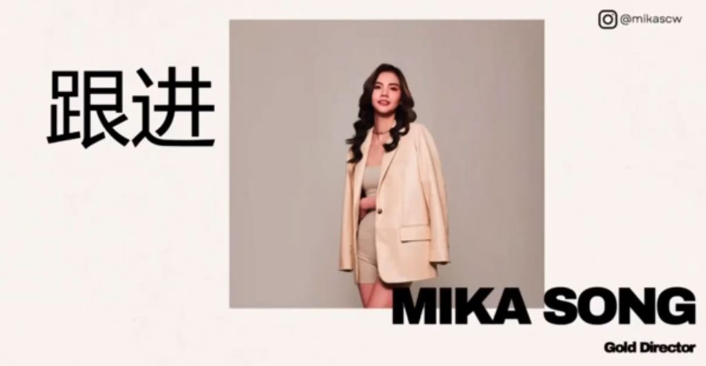 受保護的文章：跟進