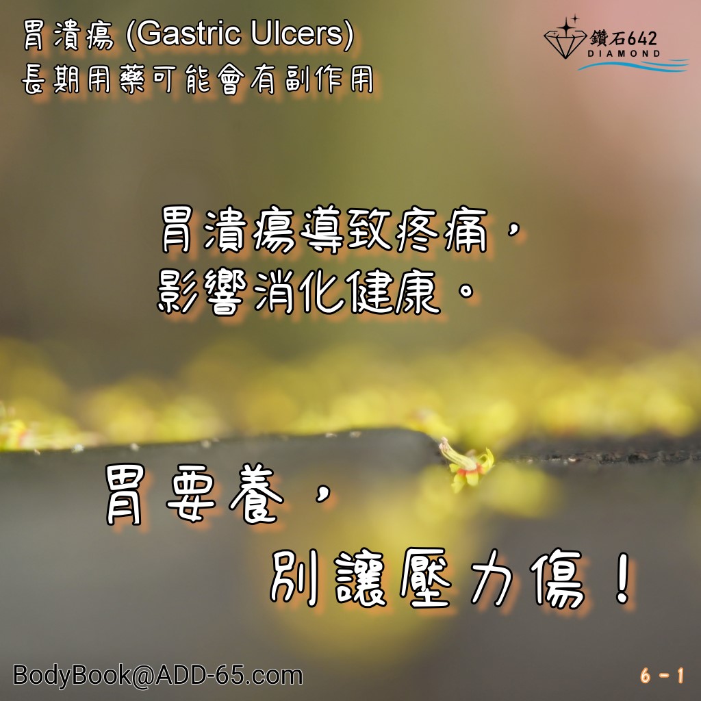 胃潰瘍 (Gastric Ulcers)