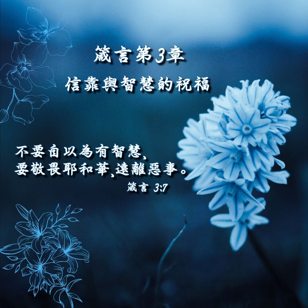 箴言第3章導讀 – 信靠與智慧的祝福