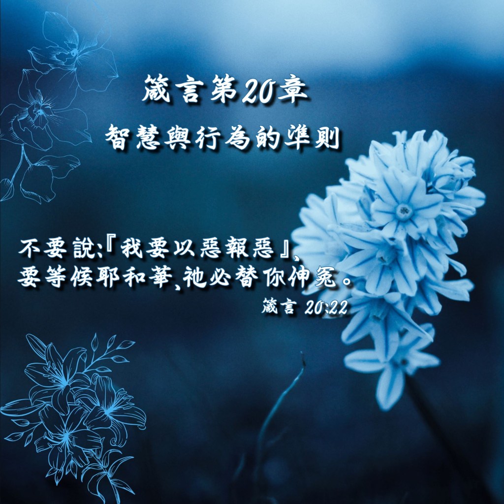 箴言第20章導讀 – 智慧與行為的準則