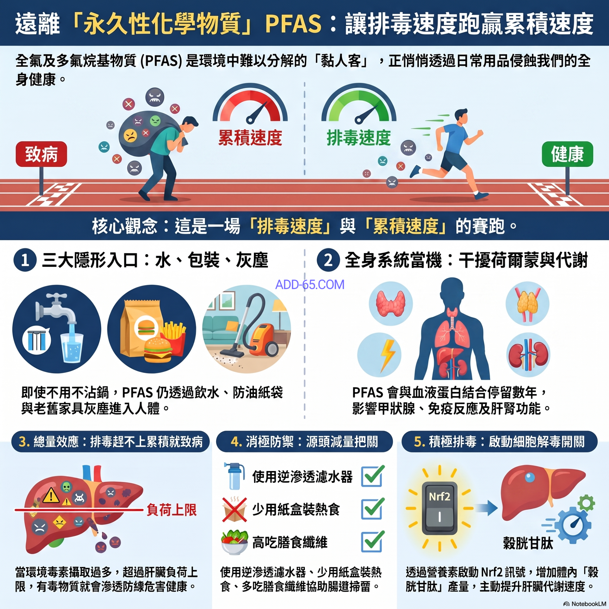 20260718_PFAS排毒與預防指南