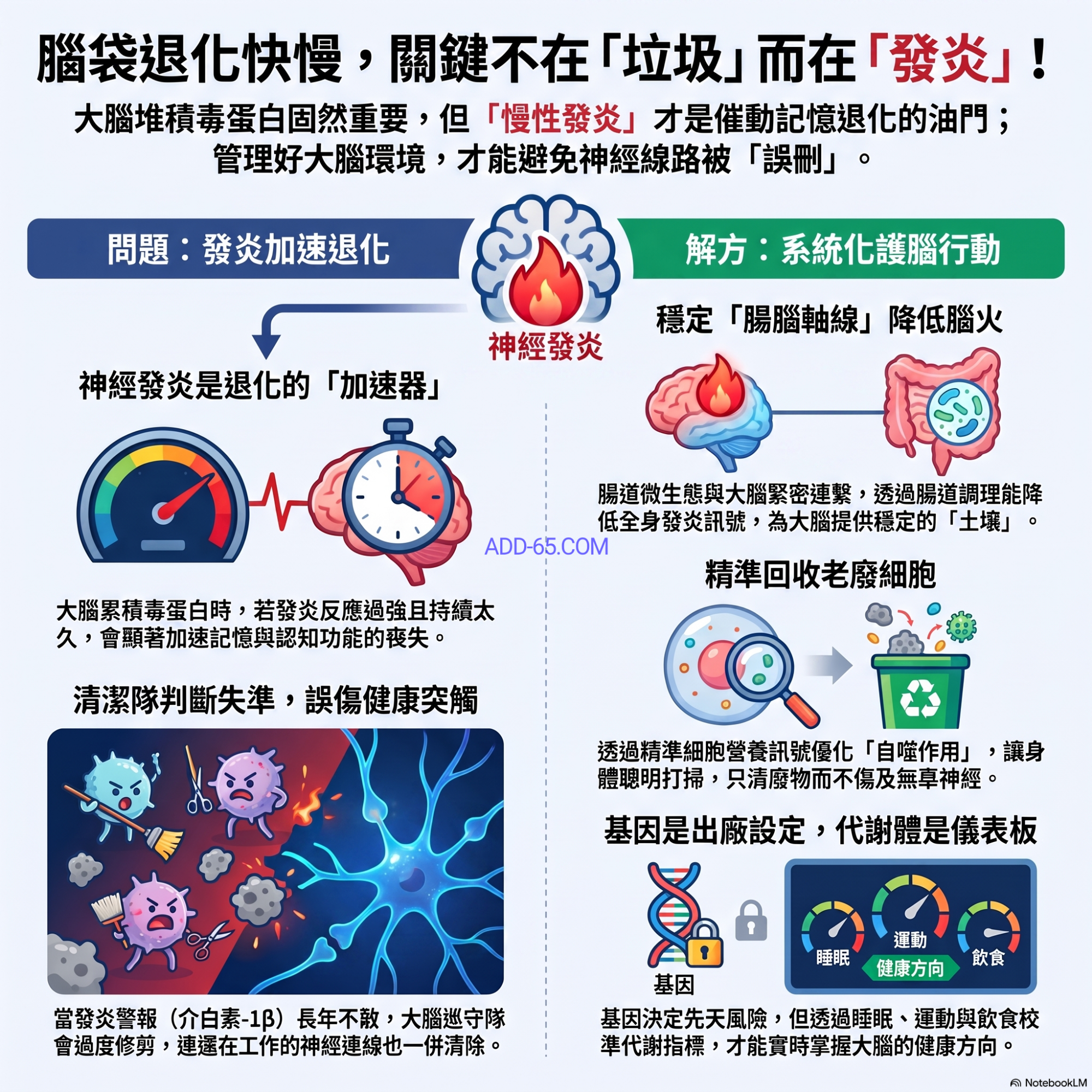 【細胞營養學堂】破解腦內發炎的骨牌效應：從微膠細胞過度清理、腸腦軸調理到 InCelligence 精準細胞回收的護腦全書