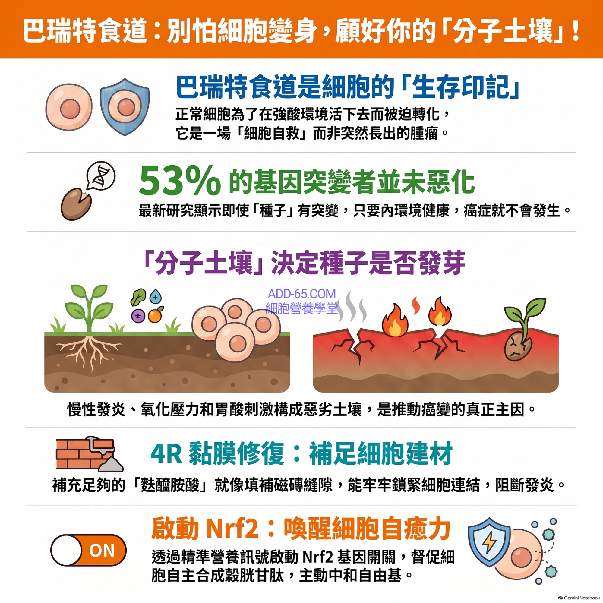 20260817_巴瑞特食道與分子土壤