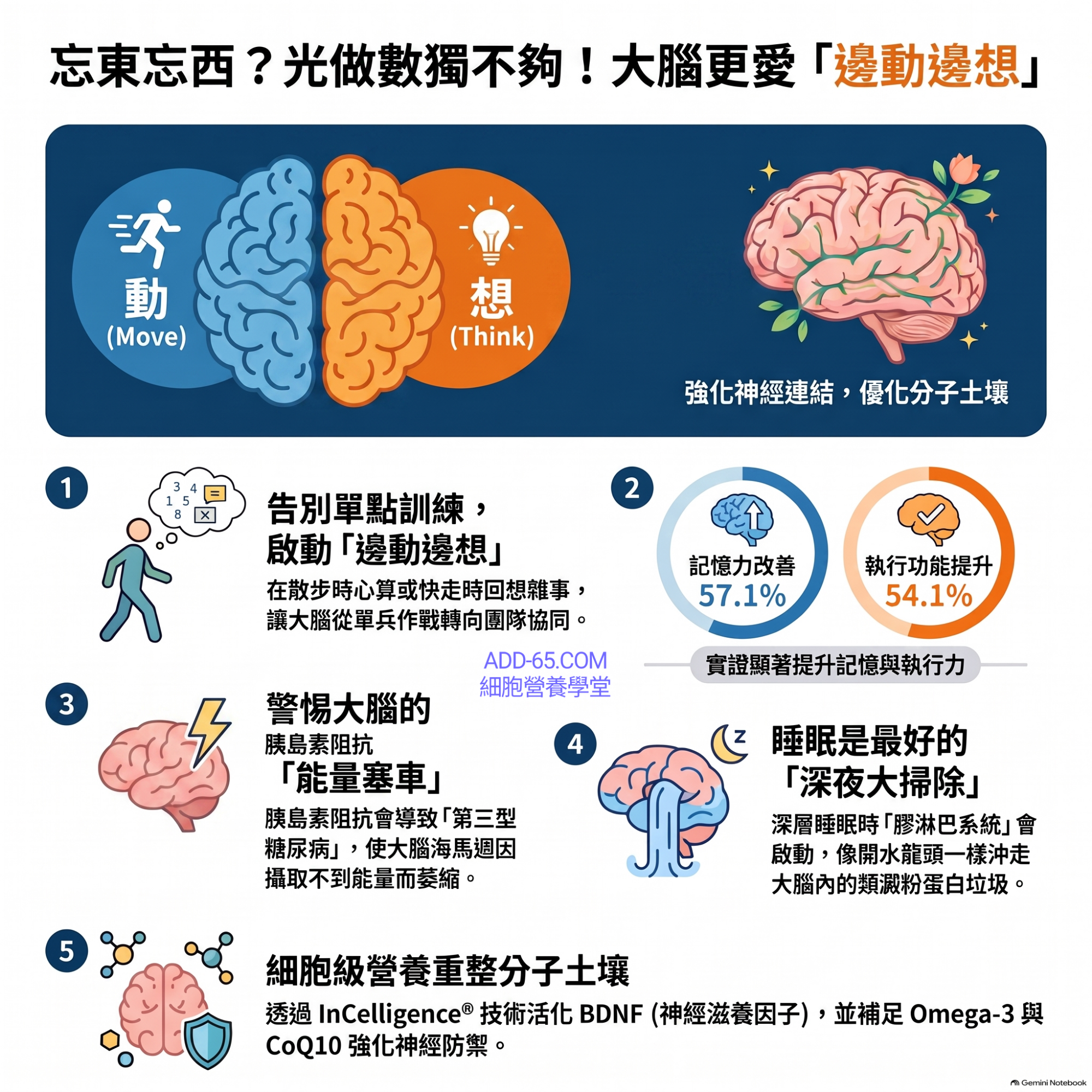 【細胞營養學堂】「邊動邊想」雙軌訓練與大腦「分子土壤」自癒學
