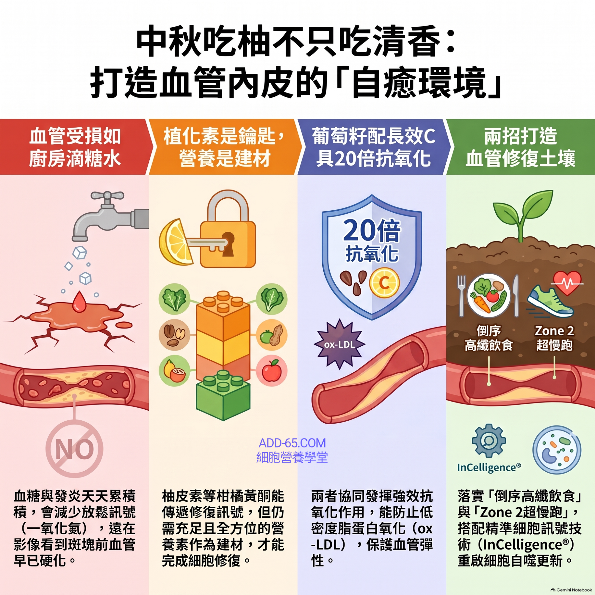 【細胞營養學堂】中秋吃柚子不只吃清香