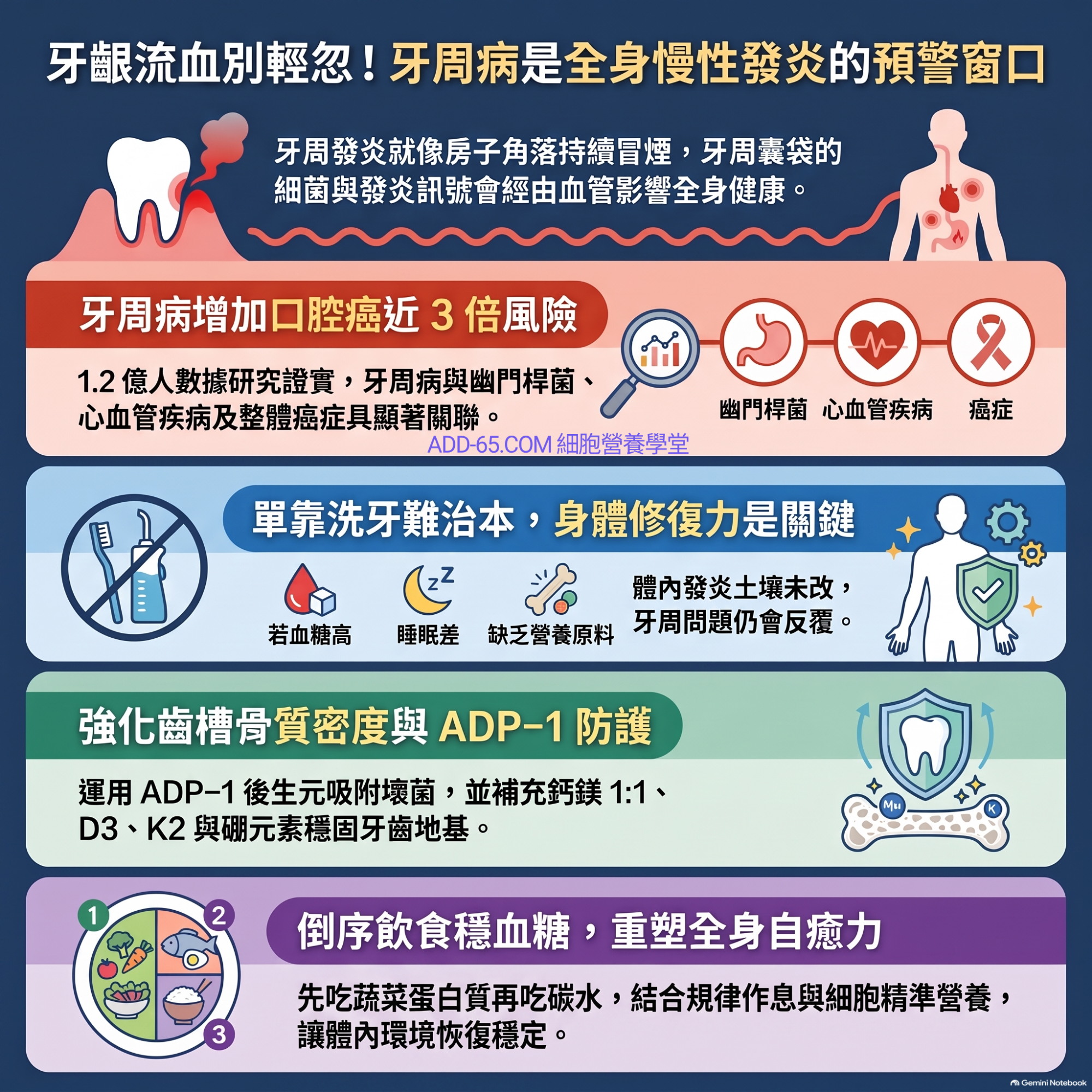 20261001_牙周病與全身健康關聯